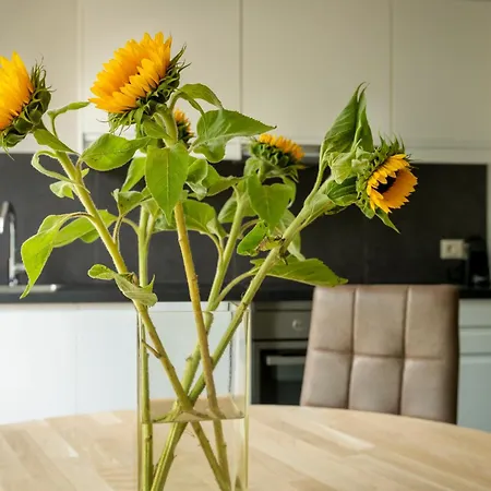 Tatil Evi Luxe Vakantiebungalow Casa Cranenweyer *