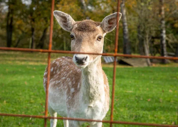Luxe Vakantiebungalow Casa Cranenweyer