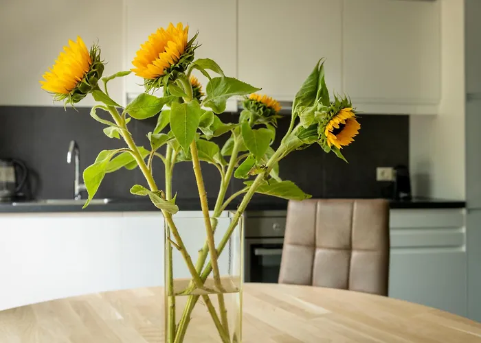 بيت للعطل Luxe Vakantiebungalow Casa Cranenweyer *