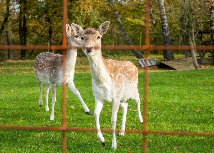 Luxe Vakantiebungalow Casa Cranenweyer *